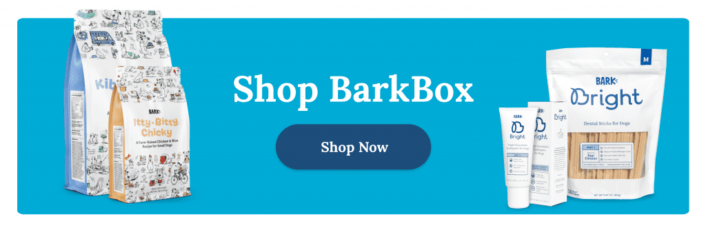 Barkbox: Your Furry Friend Will Love These Monthly Subscription Boxes